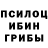 Псилоцибиновые грибы Psilocybine cubensis Valila_.
